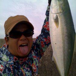 ボラにサバにハマチ！